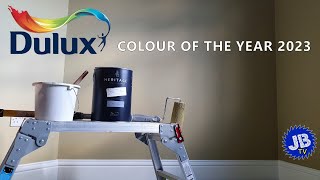 Dulux Colour of the Year 2023  WILD WONDER™ [upl. by Rimhsak]