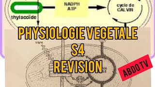 Vidéo de préparation pour lexamen de physiologie végétaleS4 [upl. by Adlesirk863]