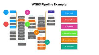 Epigenetics 2  DNA methylation and Bisulfite Sequencing [upl. by Jamieson]