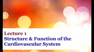 Lecture 1  Introduction to the Cardiovascular System [upl. by Draned305]