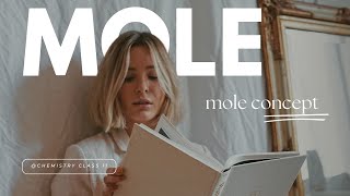 mole concept  class 11 [upl. by Angelis]