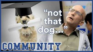 Did Greendale Give A Degree To A Dog  Community [upl. by Spratt467]