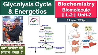 Glycolysis Cycle amp Energetics  L2 Unit2 Biochemistry [upl. by Kenay]