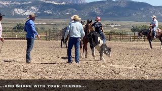 Ranch Roping Clinic  Panguitch Utah [upl. by Nosnirb]