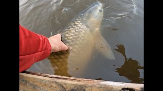 Robbyn hooks a 35Lb fish at the Family pond [upl. by Morrell601]