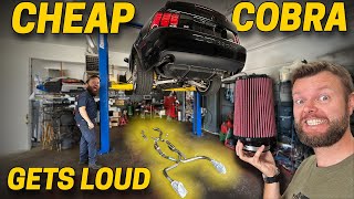 My CHEAP Terminator Cobra Gets LOUD  New Intake  Exhaust [upl. by Winne]