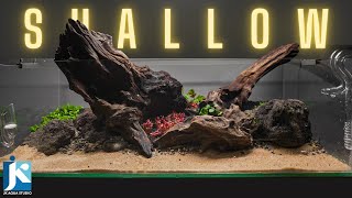 குட்டையான மீன் தொட்டி செட்டப் பண்ணலாம்  SMALL PLANTED TANK SETUP  EP 249 [upl. by Eddy876]