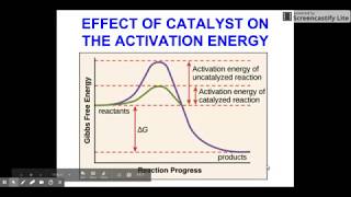 Effect of Catalysts on Activation Energy [upl. by Whitehurst]