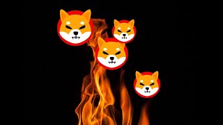 SHIBA INU SHIB  Análise de hoje 01032022 SHIB shibainu XRP ripple BTC bitcoin ETH [upl. by Harmonia]