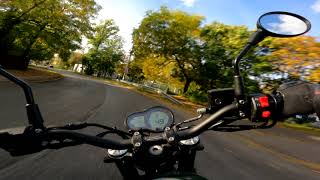 Benelli Leoncino 500  Sunday ride POV  4K [upl. by Joelynn589]