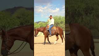 Give them the reins early reining reiningmasterclass powerclinic [upl. by Lasonde]