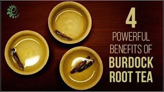 How To Make Burdock Root Tea amp Its Healing Benefits  Organic Facts [upl. by Richer]