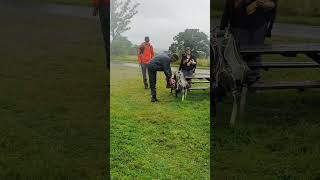 Walking Hadrians Wall [upl. by Pet]