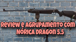 CARABINA NÓRICA DRAGON 55 REVIEW E AGRUPAMENTO 🎯 [upl. by Iaverne485]