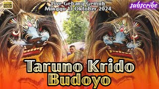 BARONGAN TARUNO KRIDO BUDOYO LIVE GEBANG 131024 [upl. by Lauryn151]