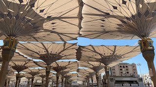 Al Masjid Al Nabawi LIVE [upl. by Browning]