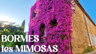 4K🇫🇷 BORMESLesMIMOSAS one of the most beautiful flower villages in South France [upl. by Allx]