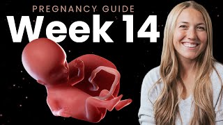 14 Weeks Pregnant  Week By Week Pregnancy [upl. by Yvi327]