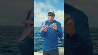 Flying Fish Tips 5  Rigging with trebles for kingfish mackerel tuna [upl. by Alanah]