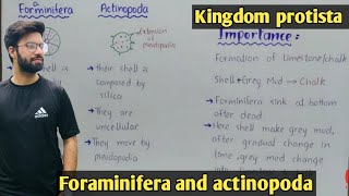 Animal like protist  foraminifera and actinopoda  Class 11 Biology [upl. by Norej]