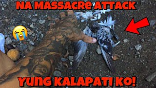 NA MASSACRE ATTACK KALAPATI KO PAKPAK NALANG NAIWAN JUSMEYO🤦🏻 [upl. by Yelyac]