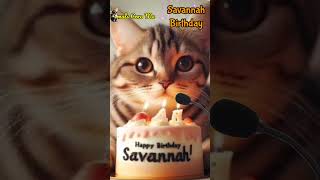 SAVANNAH HAPPY BIRTHDAY  HAPPY BIRTHDAY SONG WITH NAMES  Adorable Cute Cat 😺 happybirthday cat [upl. by Bully648]