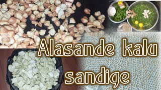 Alasande kalu sandigesandige recipe in kannada North karnataka recipes [upl. by Nylrak120]