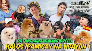 PINAPAUBOS NA LANG  GROTTO PET MARKET UPDATE  OCOBER 20 2024 [upl. by Lainey]