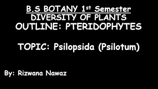 Psilopsida Psilotum by Rizwana Nawaz [upl. by Cupo]