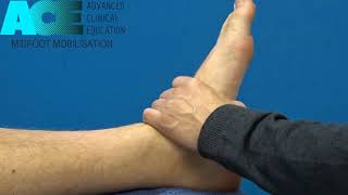 Midfoot mobilisation [upl. by Munt]