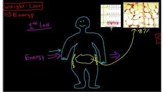 Science of WeightLoss Pathophysiology of Obesity [upl. by Minetta]