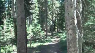 Trail Riding at Falls Creek Horse Camp [upl. by Akirdnwahs]