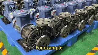 How to Choose the Right Magnetic Pump for Your Needs？ [upl. by Ayotal49]