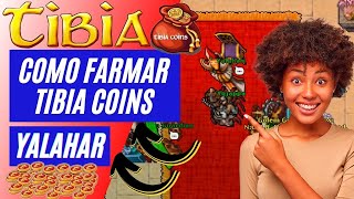 COMO FARMAR TIBIA COINS YALAHAR  DINHEIRO FÁCIL [upl. by Krever]