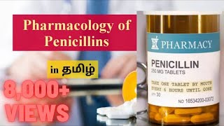 17 Penicillins💊 Pharmacology in Tamil  Beta Lactam AntiBiotics [upl. by Halliday985]