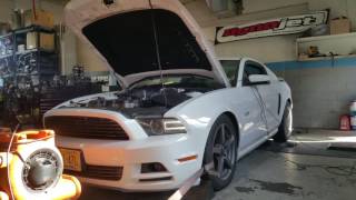 602 Horsepower Mustang GT 50L VMP Stage 2 [upl. by Aihsetel748]