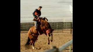 Bucking bronc riding buckaroo shorts [upl. by Reichert]