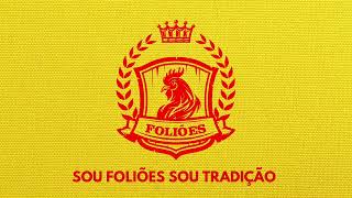 Sou Foliões Sou Tradição [upl. by Chirlin740]