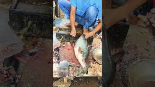 Fishcutting YouTube [upl. by Otrebmal]