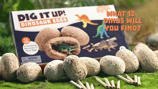 DIG IT UP Dinosaur Eggs  MINDWARE WEEK [upl. by Okier25]