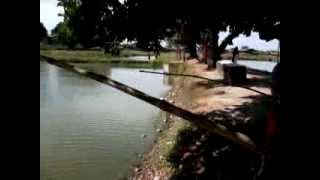 Fishing  Freshwater Fishing Village Magalang Pampanga [upl. by Anstus]