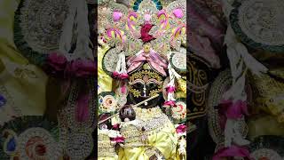 Saras Kishori Vayas Ki Thori  radheradhe radhekrishna radhavallabh radharaman vrindavan [upl. by Marcella]