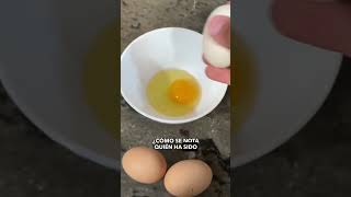 😎EXPASTELERO te ENSEÑA a CASCAR los HUEVOS BIEN  El Verdadero Secreto😱  Corbacho Fitness [upl. by Marcus619]