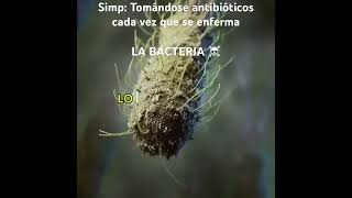 RESISTENCIA BACTERIANA enfermedad edit medicina antibiotics bacteria [upl. by Aldus]