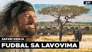 ČUDO na safariju i FUDBAL sa lavovima [upl. by Ettenirt]