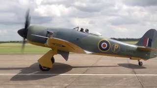 Hawker Sea Fury  Power of the Centaurus [upl. by Annelise]