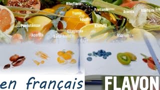 Santé et Succès FLAVON Health amp Success [upl. by Redleh391]