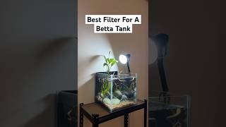 Best Filter For A Betta Fish Tank [upl. by Mccoy]