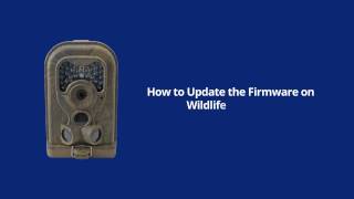 How to Update Firmware on HD Wildlife Trail Camera [upl. by Andree]