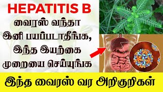 HEPATITIS B வைரஸ் வந்தா இனி பயப்படாதீங்க இந்த இயற்கை முறையை செய்யுங்க [upl. by Cleopatre722]